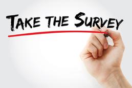 Survey 2025